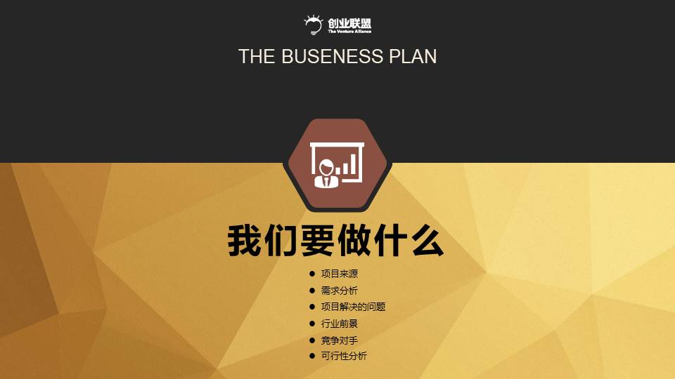 项目策划 (46).pptx